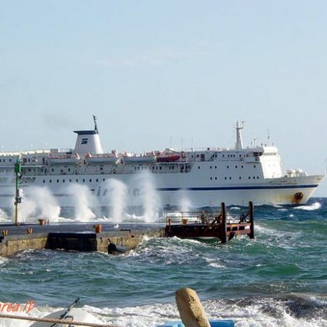 Troppi gatti nella zona del porto di Panarea